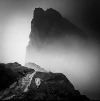 LP מזמור: Alluvion LTD