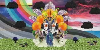 CD Modest Mouse: The Golden Casket DLX