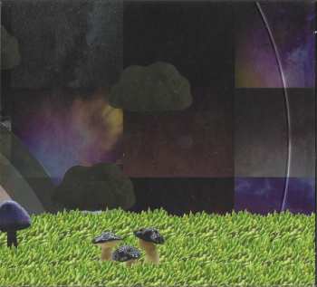 CD Modest Mouse: The Golden Casket DLX