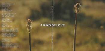 CD Morgan: The River And The Stone