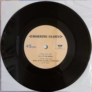 SP Morning Glory: Born To December