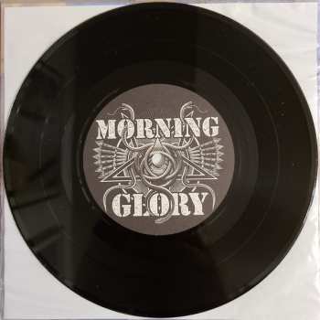 SP Morning Glory: Born To December