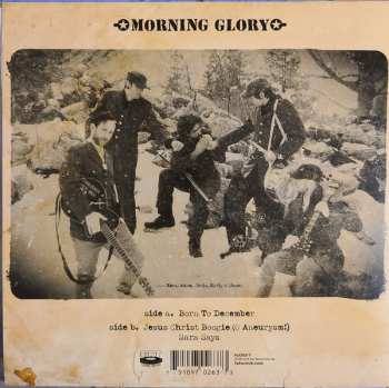 SP Morning Glory: Born To December