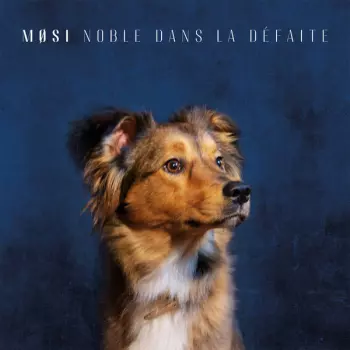 Møsi: Noble Dans la Défaite