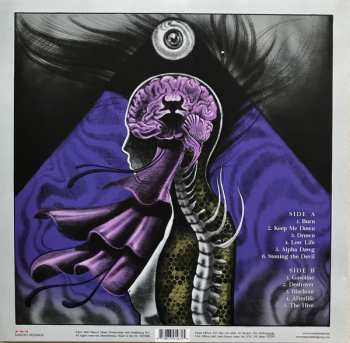 LP Crobot: Motherbrain LTD | CLR
