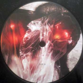 LP Motorpsycho: Still Life With Eggplant