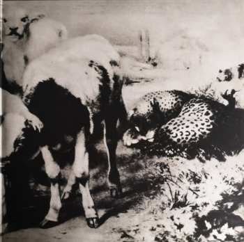 LP Mott The Hoople: Mad Shadows