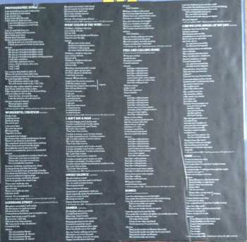 LP Mr. Big: Photographic Smile