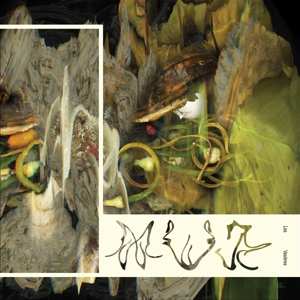 Album Mue Mue: Les Vasieres