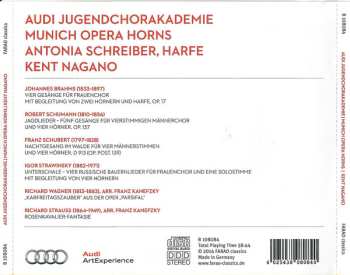 CD Kent Nagano: Untitled