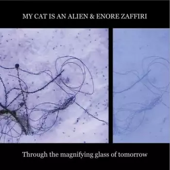 Through The Magnifying Glass Of Tomorrow