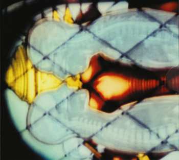 2CD My Morning Jacket: It Still Moves DLX | DIGI