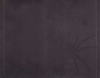 CD Mystikal: Tarantula