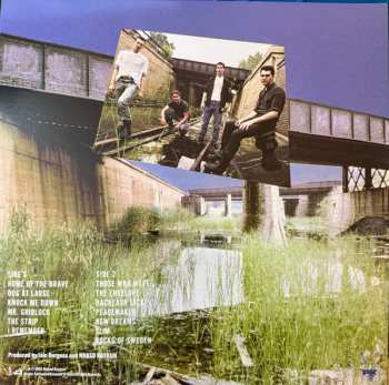 LP Naked Raygun: All Rise CLR | LTD