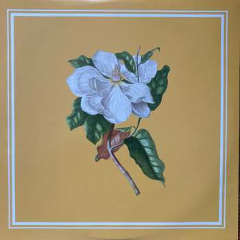 2LP Mike Patton: Music To Make Love To Your Old Lady By (Instrumental Version) LTD | CLR