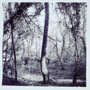 LP National Screen Service: A New Kind Of Service