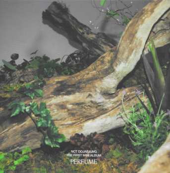 CD/Box Set NCT Dojaejung: Perfume