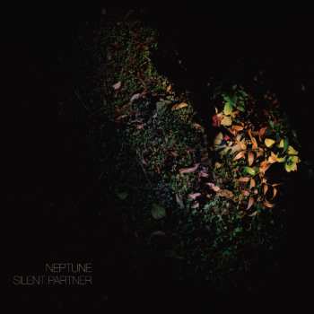 CD Neptune: Silent Partner