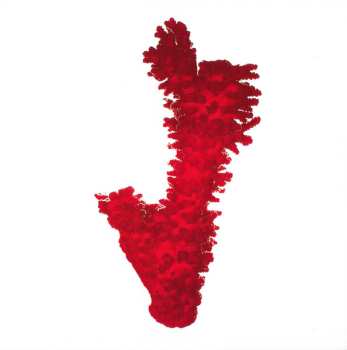 4CD New Order: Substance DLX