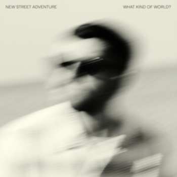 Album New Street Adventure Feat. Nick Corbin: What Kind Of World?