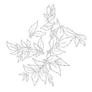 LP Nhor: Momenta Quintae Essentiae