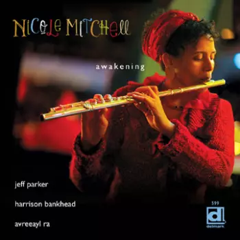 Nicole Mitchell: Awakening