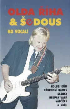 No Vocal!