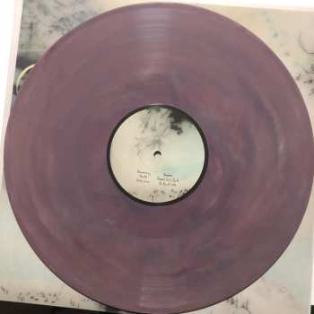 LP Novo Amor: Birthplace