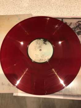 LP Novo Amor: Birthplace