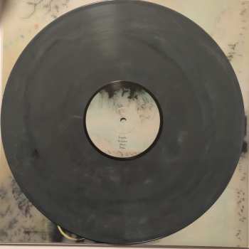 LP Novo Amor: Birthplace