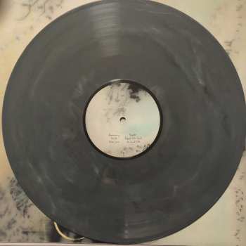 LP Novo Amor: Birthplace