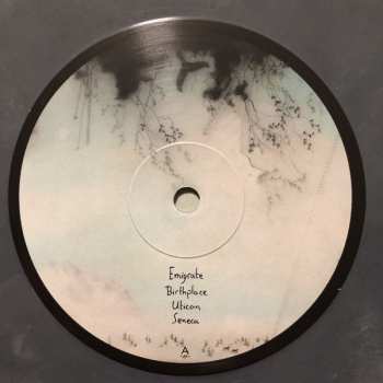 LP Novo Amor: Birthplace