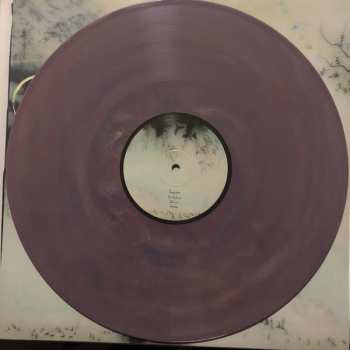 LP Novo Amor: Birthplace