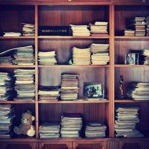 CD Numen: Numenclature