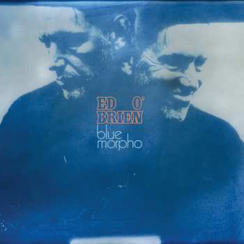 Album O'brien,ed: Blue Morpho