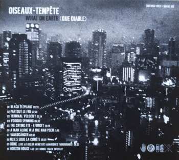CD Oiseaux-Tempête: What On Earth (Que Diable)