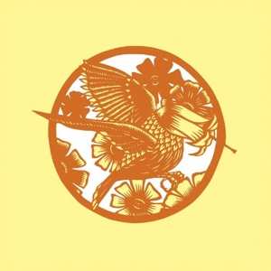 Album Okkervil River: Your Past Life As A Blast b/w Gold Faces