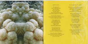 CD Old Man's Child: The Pagan Prosperity