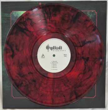 LP Ondfødt: Dimsvall CLR | LTD