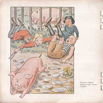 4SP Ondřej Sekora: Kuře Napipi A Jeho Přátelé