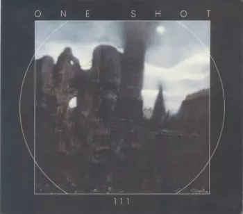 111