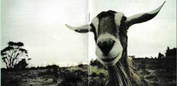 2CD Open Road: Windy Daze DIGI