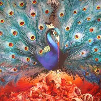 2LP/2CD/DVD/Box Set Opeth: Sorceress LTD | DIGI
