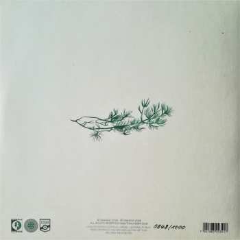 LP Orango: Evergreens LTD | NUM | CLR