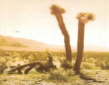 CD Orquesta Del Desierto: Dos