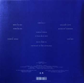 LP Oso Leone: Gallery Love