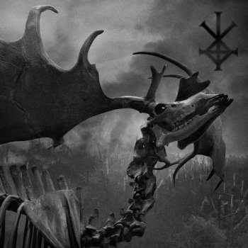 Album Outre: Hollow Earth