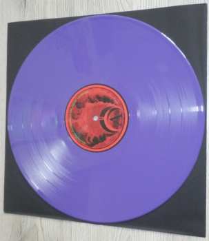 LP Paakallo: Pääkallo LTD | CLR