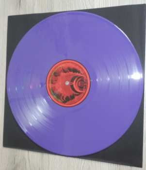 LP Paakallo: Pääkallo LTD | CLR