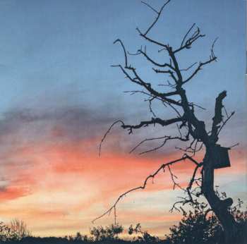 CD Pago Libre: Wild Card – Songs From A Farm